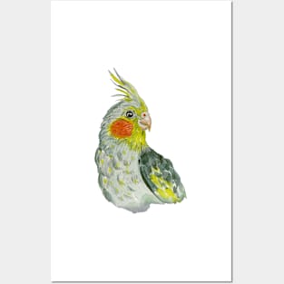 Cockatiel Posters and Art